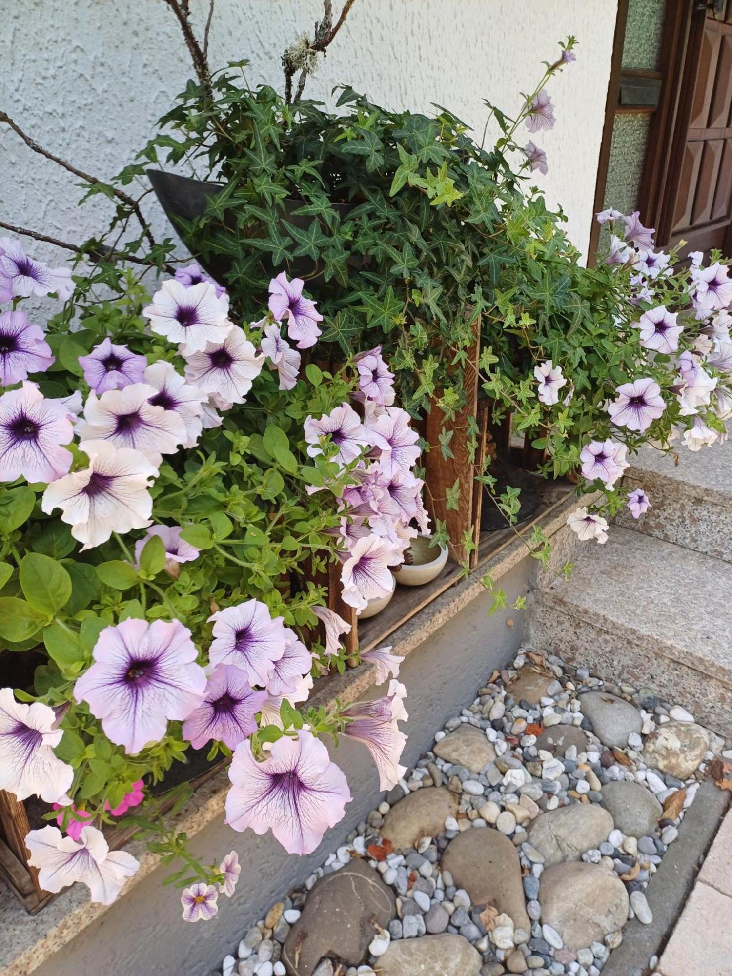 Ferienwohnung Sylvia 미헬슈타트 외부 사진